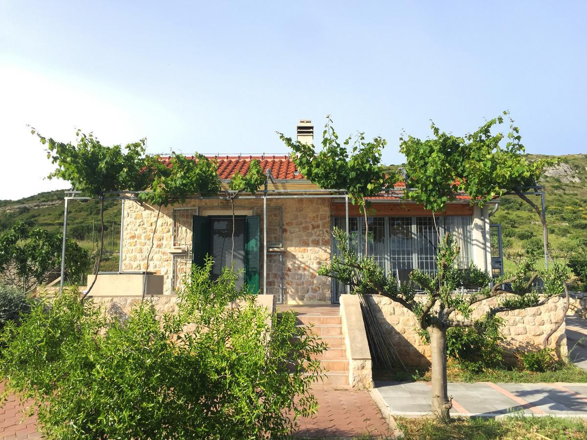 Holiday Home Olive 希贝尼克 外观 照片